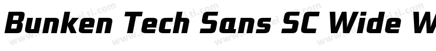 Bunken Tech Sans SC Wide W05XBd字体转换